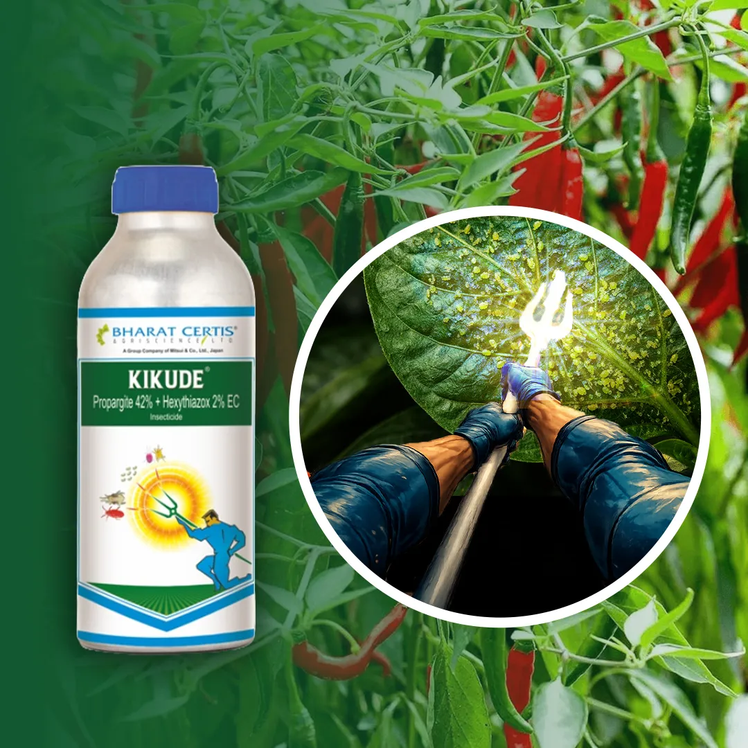 Managing Mites in Vegetable Crops: Kikude for Comprehensive Protection